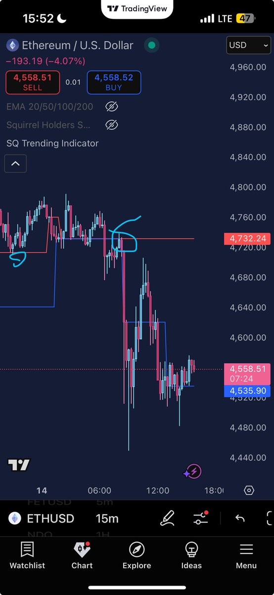 squirrel tweet media