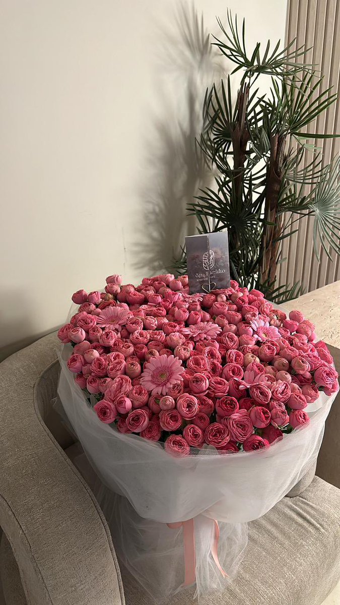 mashaier_gift's tweet photo. -💕💓💘🩷🌷🌸- https://t.co/kvtxAAc1gu