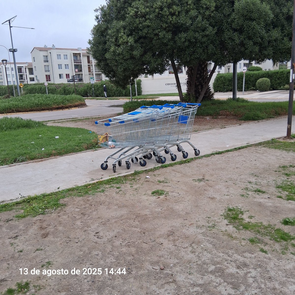 El Líder de Av.Libertad, la Serena sigue regalando carros como todos los días.. <a href="/LIDERcl/">Lider.cl</a> <a href="/munilaserena/">Municipalidad de La Serena</a>