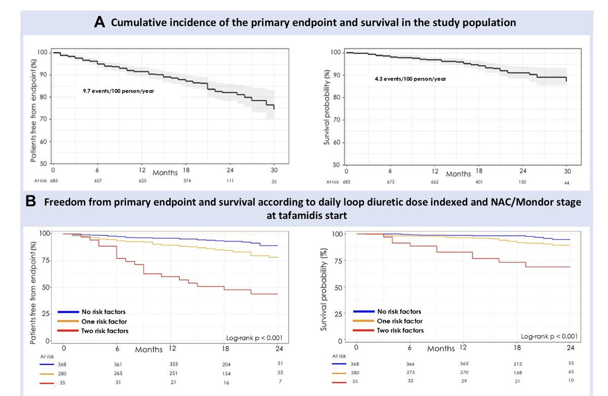 Laura De Michieli (@laurademichieli) on Twitter photo 🚨🇮🇹New multicenter Italian study on early-stage ATTRwt-CM treated with tafamidis: clinical & biochemical markers help identify high-risk cases🫀
📣out in JACC: HF jacc.org/doi/epdf/10.10…
<a href="/albcipri6/">Alberto Cipriani</a>
<a href="/amyloid_papers/">Amyloidosis_papers</a>
<a href="/UniPadova/">Università di Padova</a> 🚨🇮🇹New multicenter Italian study on early-stage ATTRwt-CM treated with tafamidis: clinical & biochemical markers help identify high-risk cases🫀
📣out in JACC: HF jacc.org/doi/epdf/10.10…
<a href="/albcipri6/">Alberto Cipriani</a>
<a href="/amyloid_papers/">Amyloidosis_papers</a>
<a href="/UniPadova/">Università di Padova</a>