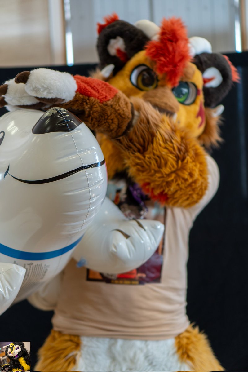 Quelque photo de notre exposition gonflable