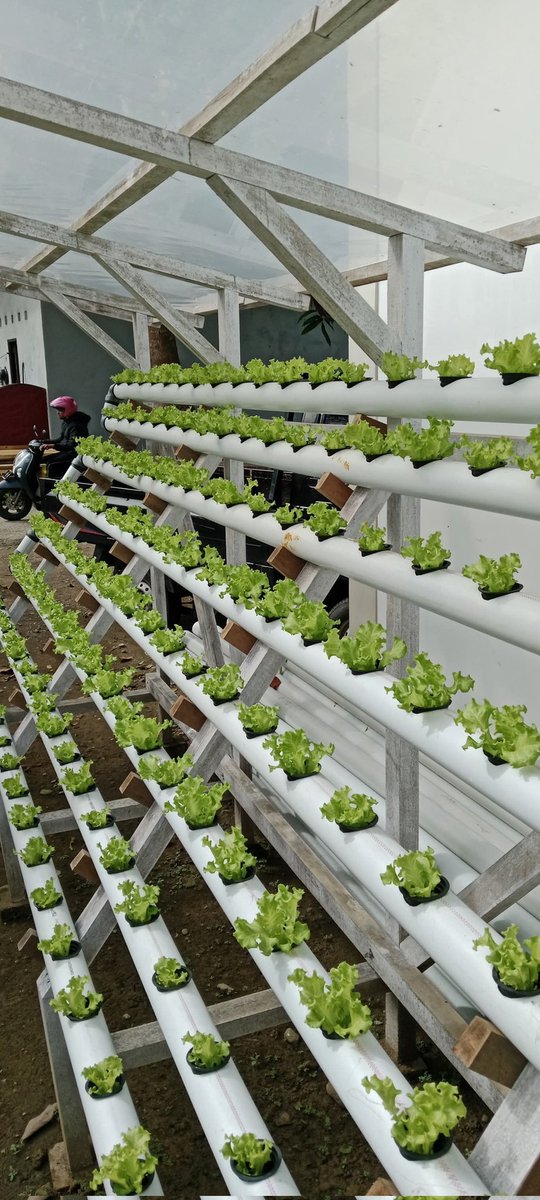Vertical farming will revolutionize agriculture by producing more food in less space, using less water, and providing year-round, sustainable urban crops.