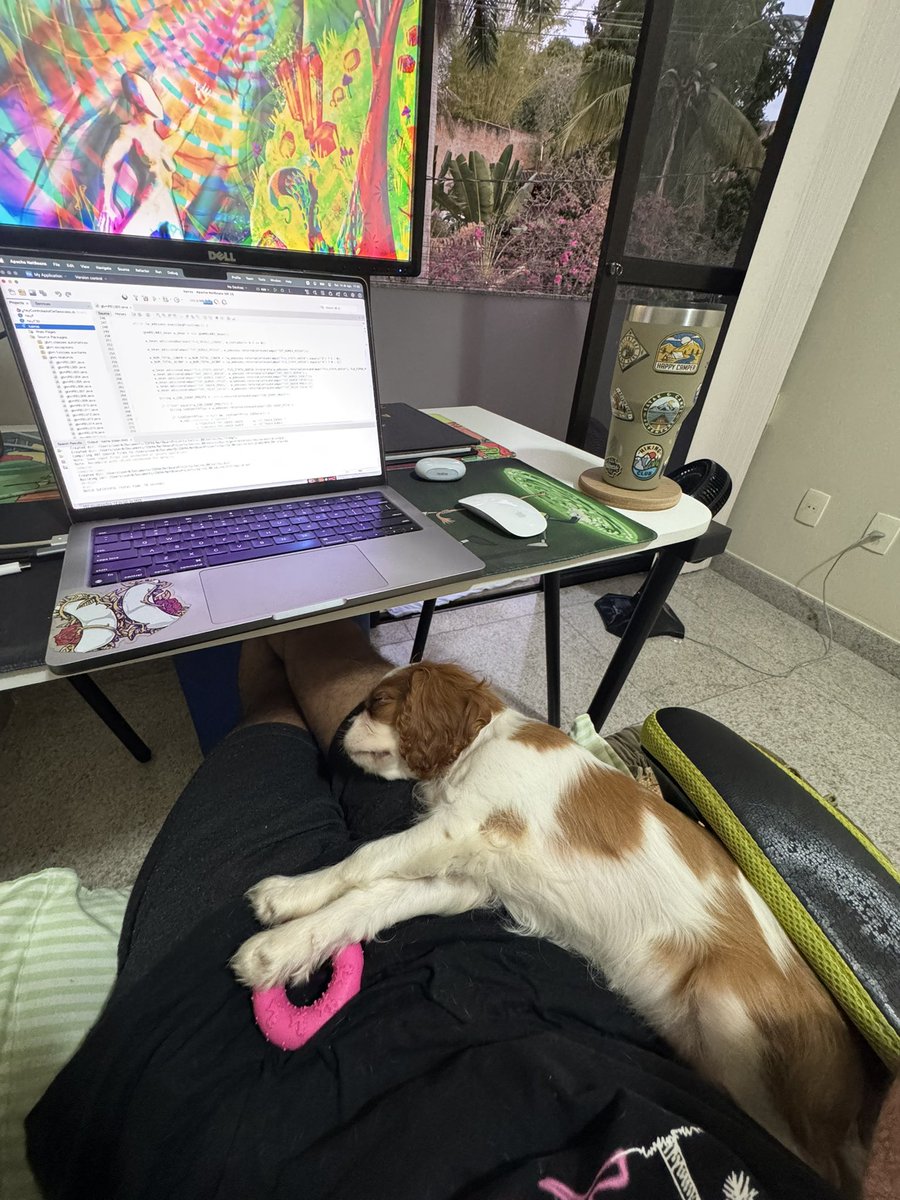 IgorRozalem's tweet photo. While I struggle with threads in Java, she opens one and sleeps. 🐶💤

☕️
while(workInJava) {
                                        dog.sleepOnLap();
    }
☕️
#JavaDev #HomeOffice #Threads https://t.co/PEoTa1dRR7