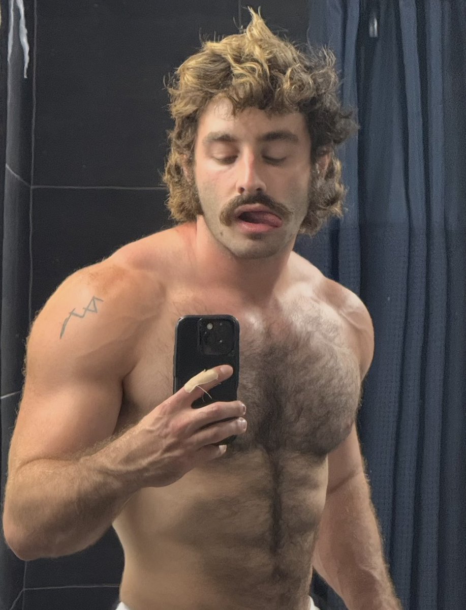 gallipony tweet media