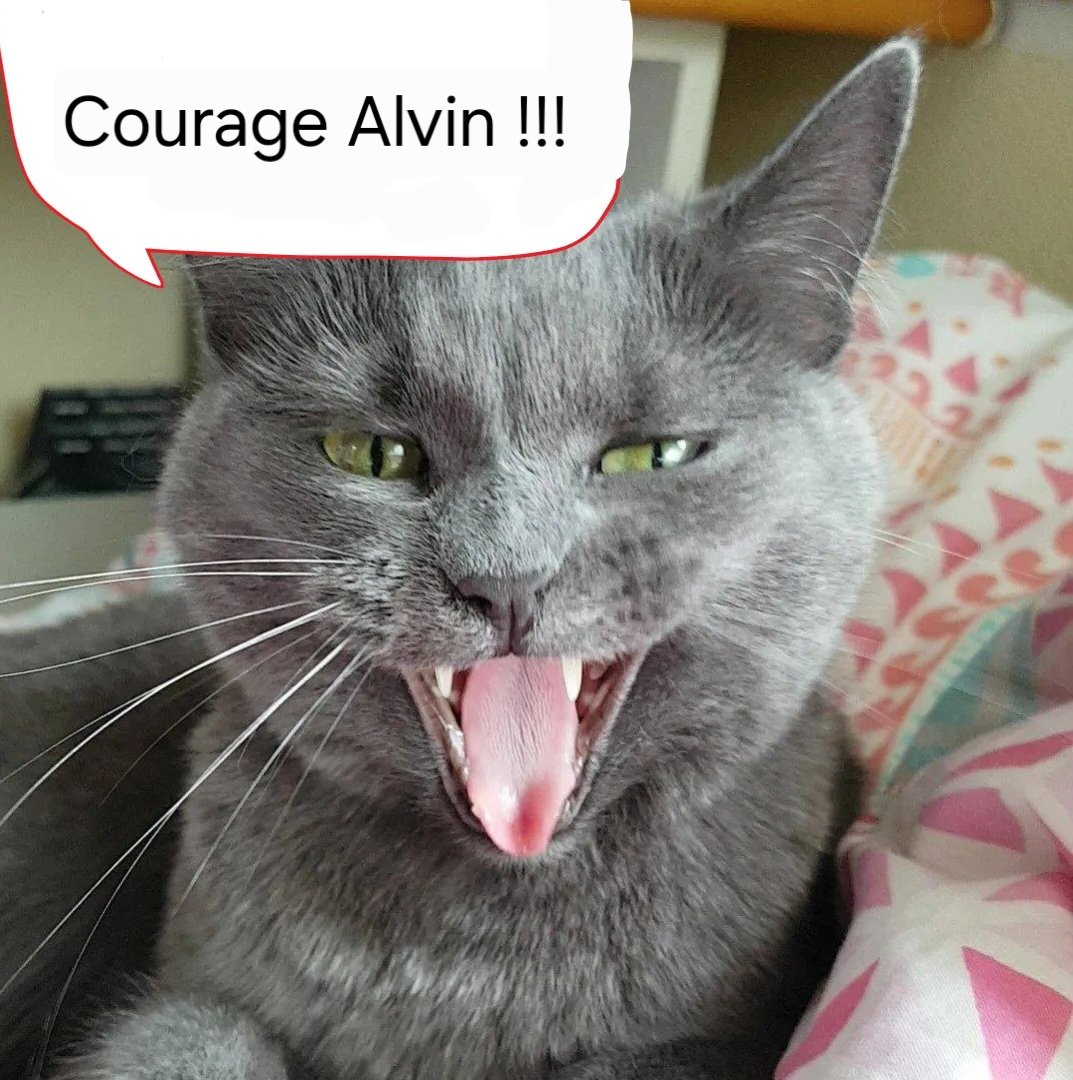 DrMeumeu tweet media