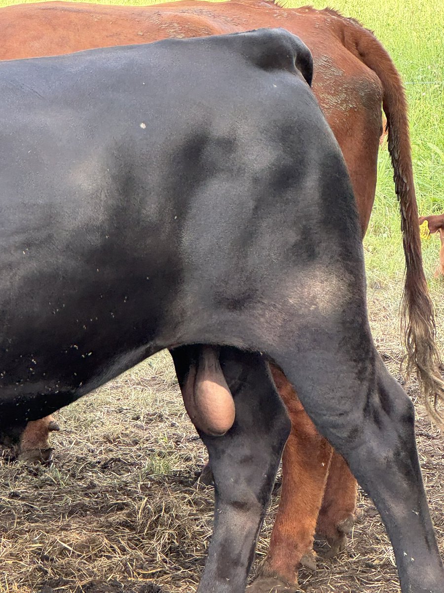 Alexander Schierholz-Prilop tweet media