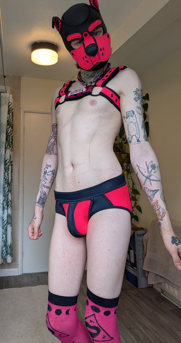 Some new neoprene jocks, maybe I'll share the back view if you're good

#pupplay #puppyplay #gaypup