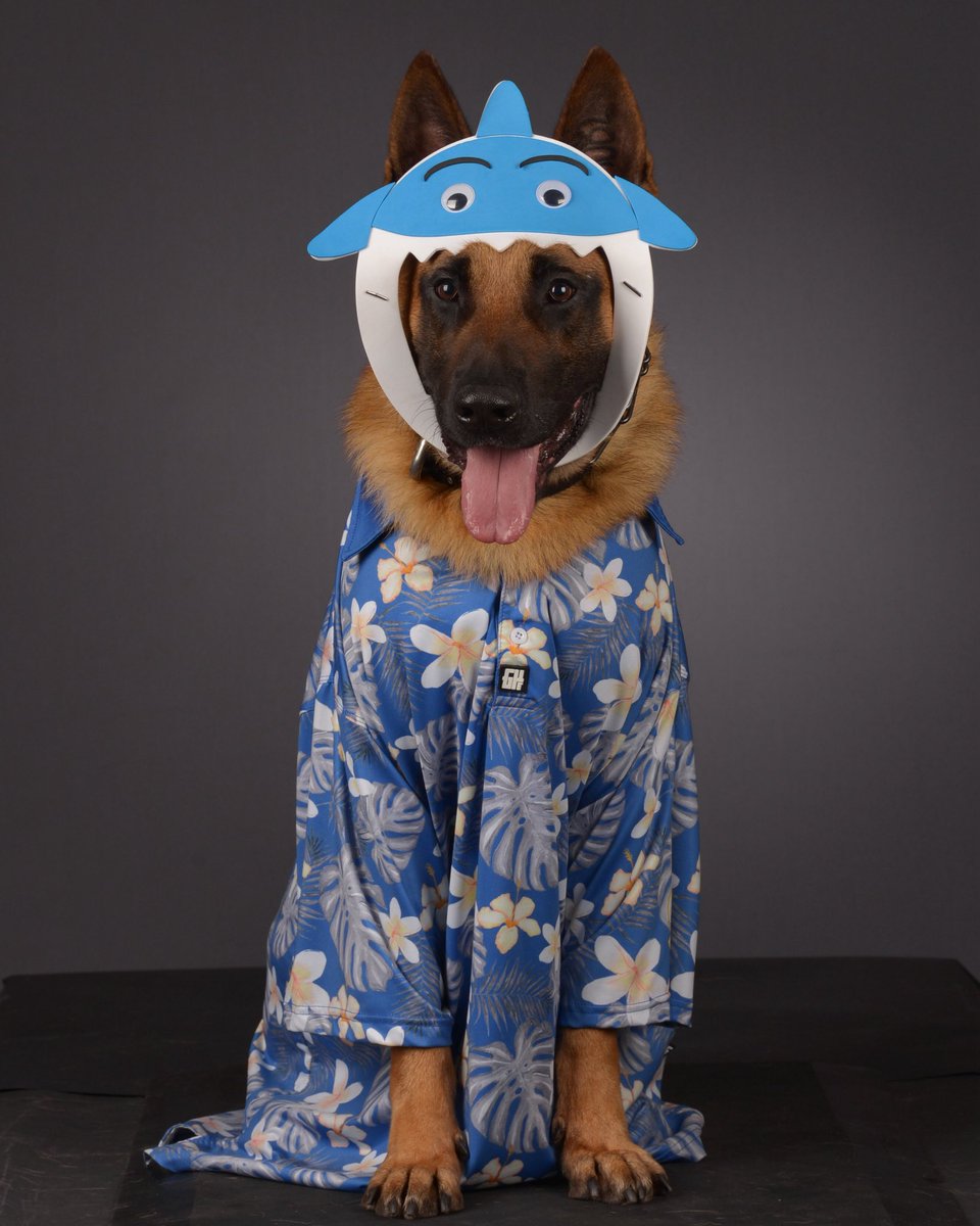 Here’s the higher quality picture of my buddy