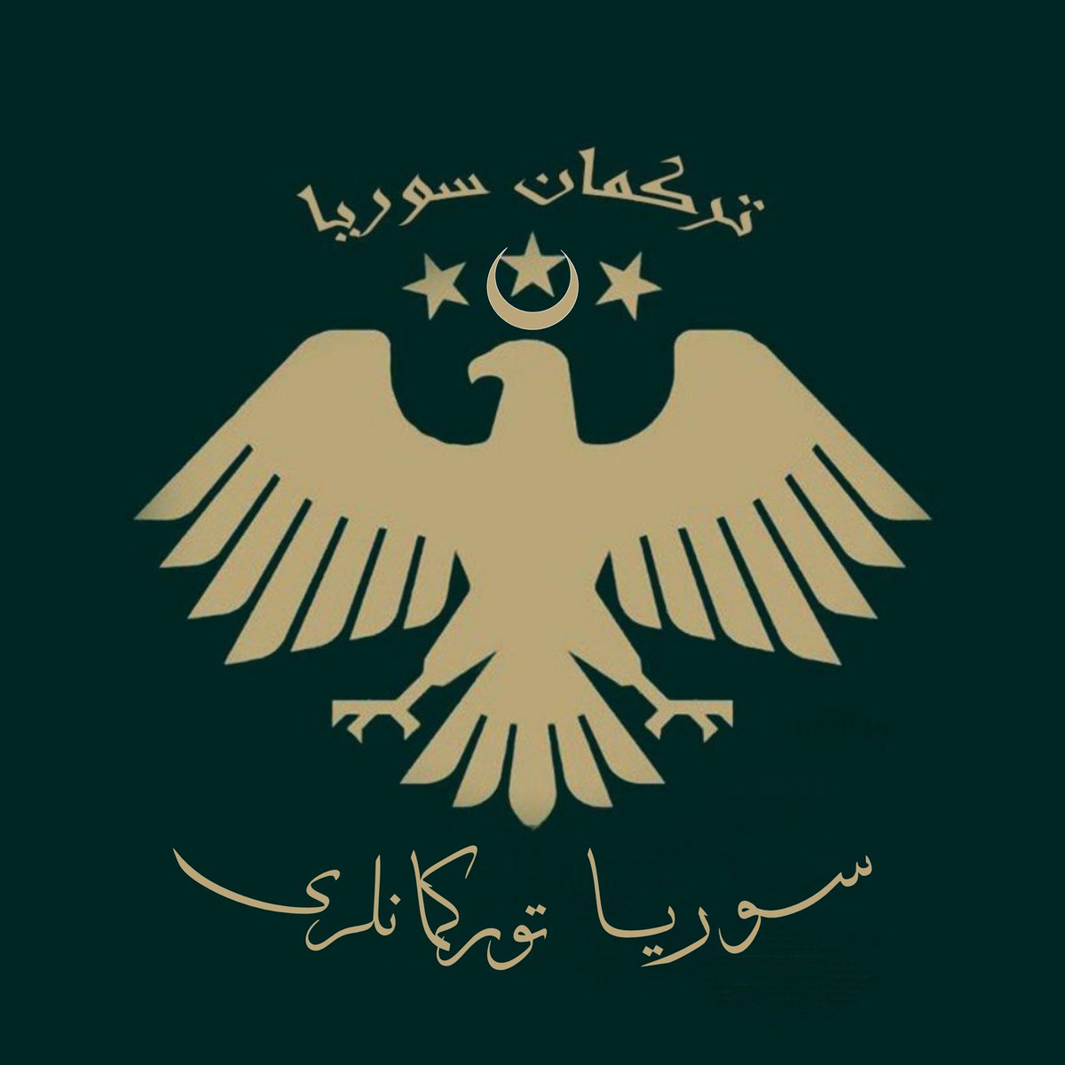 منذ المغرب بدأت حملة تحريض على #التركمان ليطالبوا بإقليم، يحاولوا أن يزرعوا فكرة الانفصال والخيانة للوطن في قلب شعبنا، ولكنهم ينسون، دائما التركمان لا يخونون. نحن لا نبيع شرفنا ولا أرضنا، ولن نسمح بتقسيم وطننا أمام أعيننا، عندما تدق طبول #الحرب، سنكون صامدين بأرضنا، #سوريا #دمشق