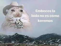 Iberian Soul (@iberiansoul) on Twitter photo 1-2 vs <a href="/parivisiongg/">PARIVISION</a> GG
Acabamos el día con derrota 🫤
Nos tocará seguir por el lower en la ECL S50 Cup 1 🤨 1-2 vs <a href="/parivisiongg/">PARIVISION</a> GG
Acabamos el día con derrota 🫤
Nos tocará seguir por el lower en la ECL S50 Cup 1 🤨
