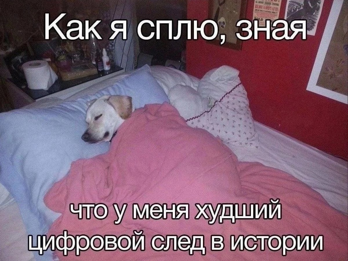 гротеск (@st_grotesque) on Twitter photo 