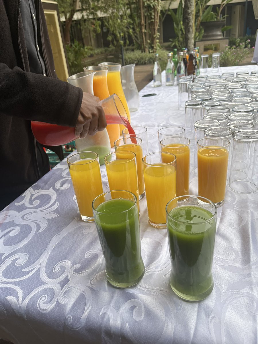 VASHISHTAYUSHI7's tweet photo. Kenya is a true juice paradise! All this was freshly served at @UN, Nairobi (UNON) 🍹🌱 https://t.co/cejjWyDVHg