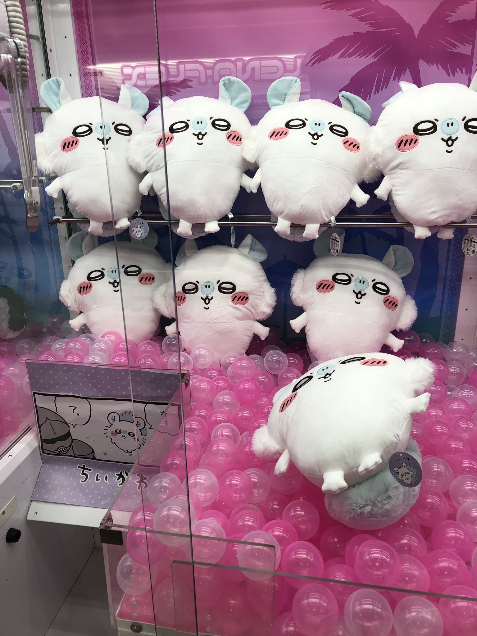 ＃白くてかわいいもの メジャーロード白根 on X: 
