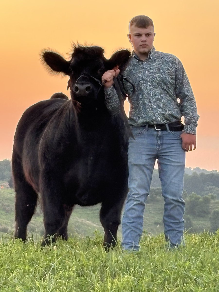 Shantel Zwick tweet media