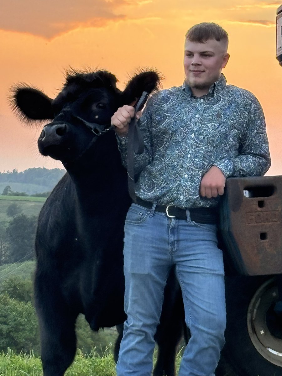 Shantel Zwick tweet media