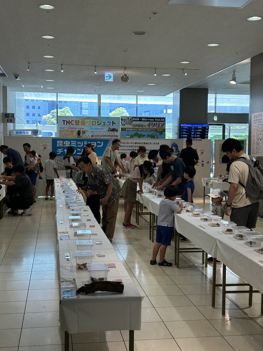本日もふくおか大昆虫展は大盛況です！
カブクワ釣りもできます！