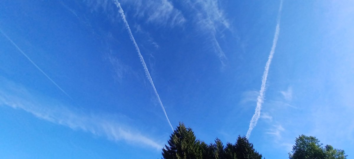 Look at that beautiful DARK BLUE SKY! That beautiful blue started to return today, so the VAMPIRES ordered a heavy spray day!