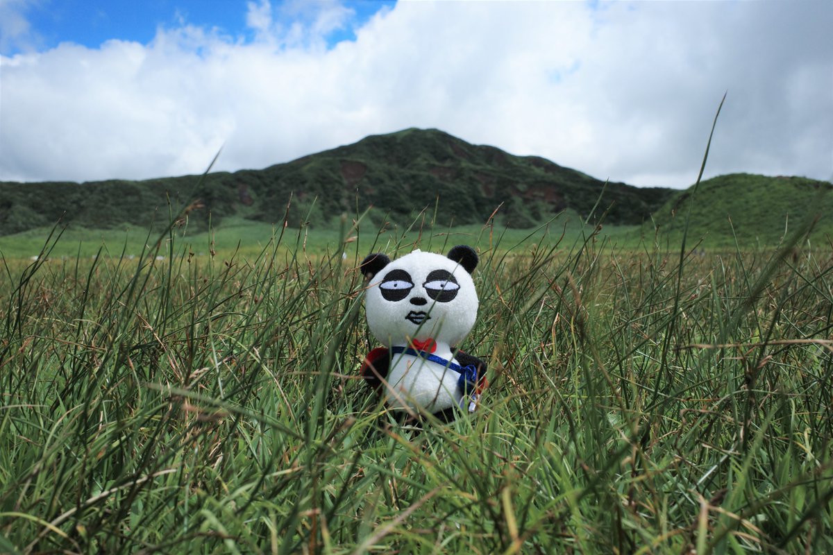 ●京成パンダ 京成パンダ【公式】 (@keisei_official) / Posts / X