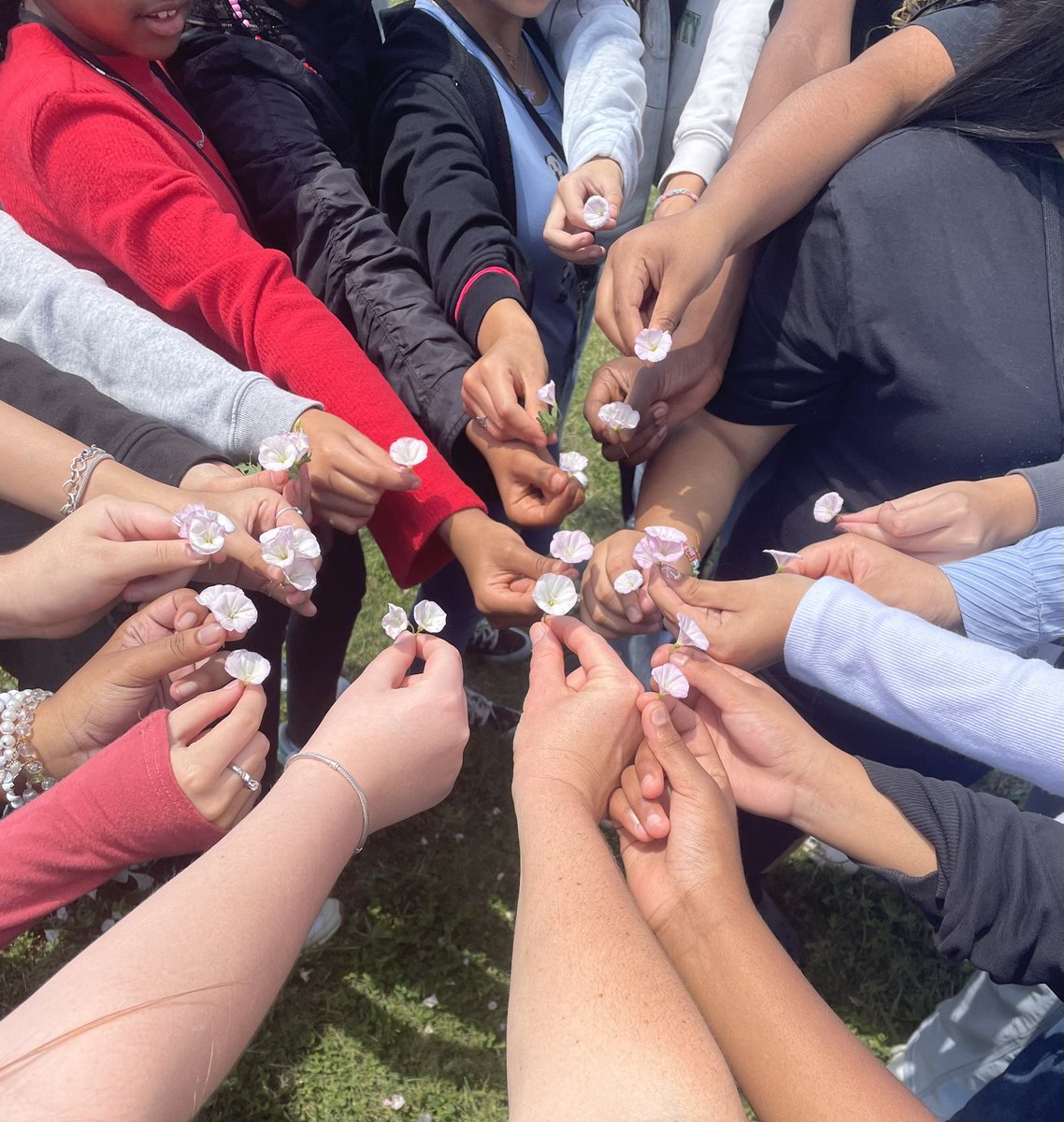 CoachMcCoy_PE's tweet photo. First week of school 😊 🌼💪 Building community, moving our bodies, and enjoying the sunshine—sometimes wellness looks like fresh air and a handful of blooms! #ljhpatriots https://t.co/9QGIHS400Z
