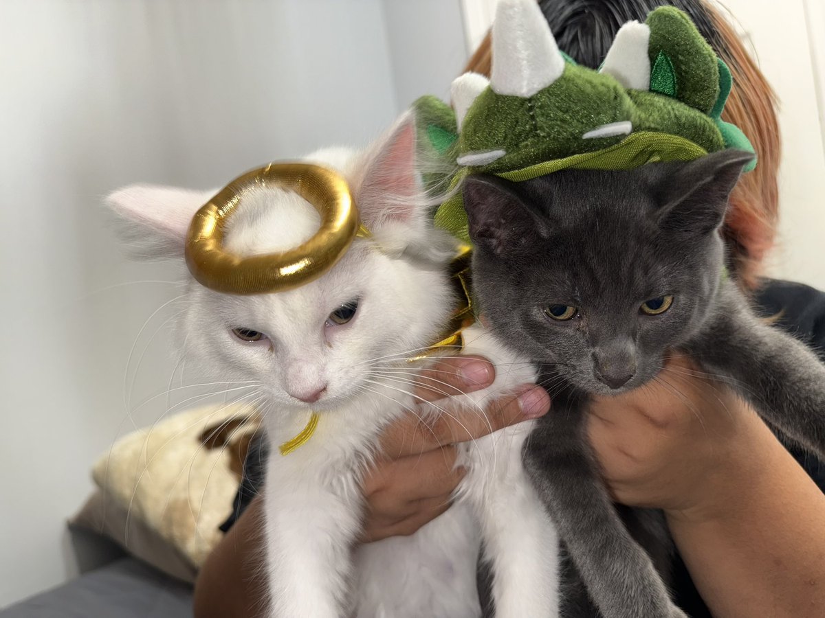 canioverdose's tweet photo. Pretty babies 🥹 https://t.co/iouHrJkC9S