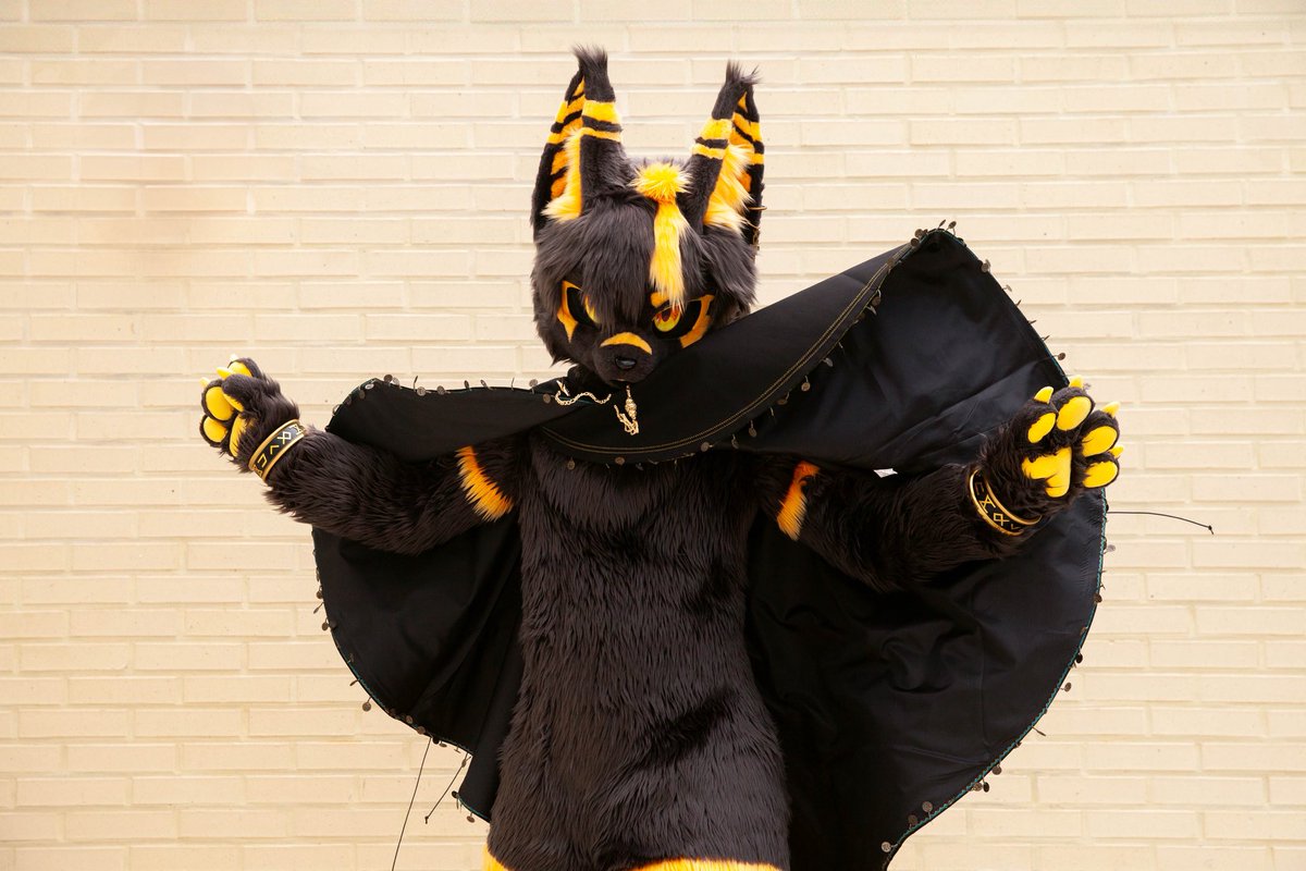 #FursuitsFriday 
이몸등장😎

📷 <a href="/Mone_Kloe/">MONE(모네)</a>