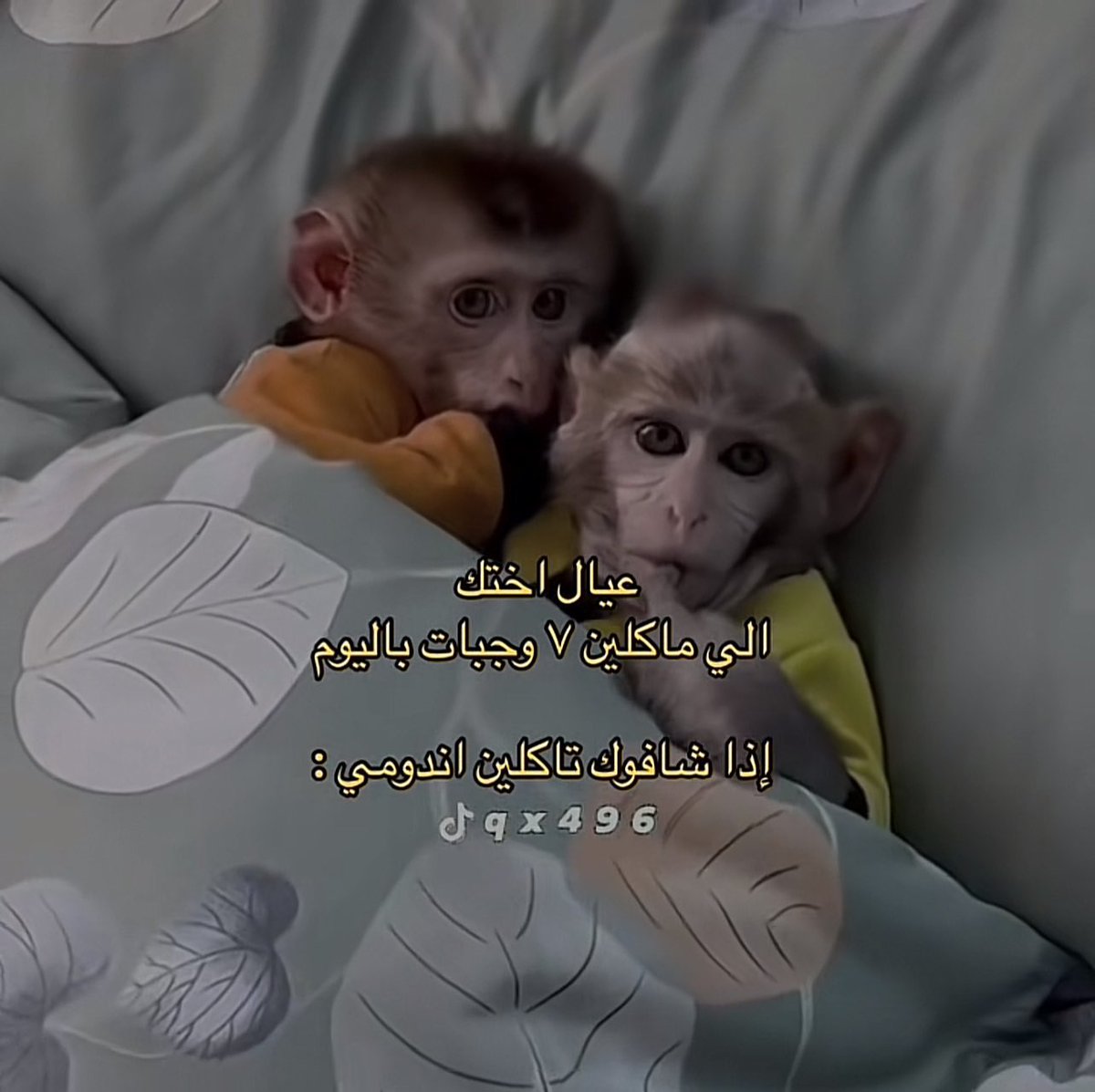 اصدق شيء