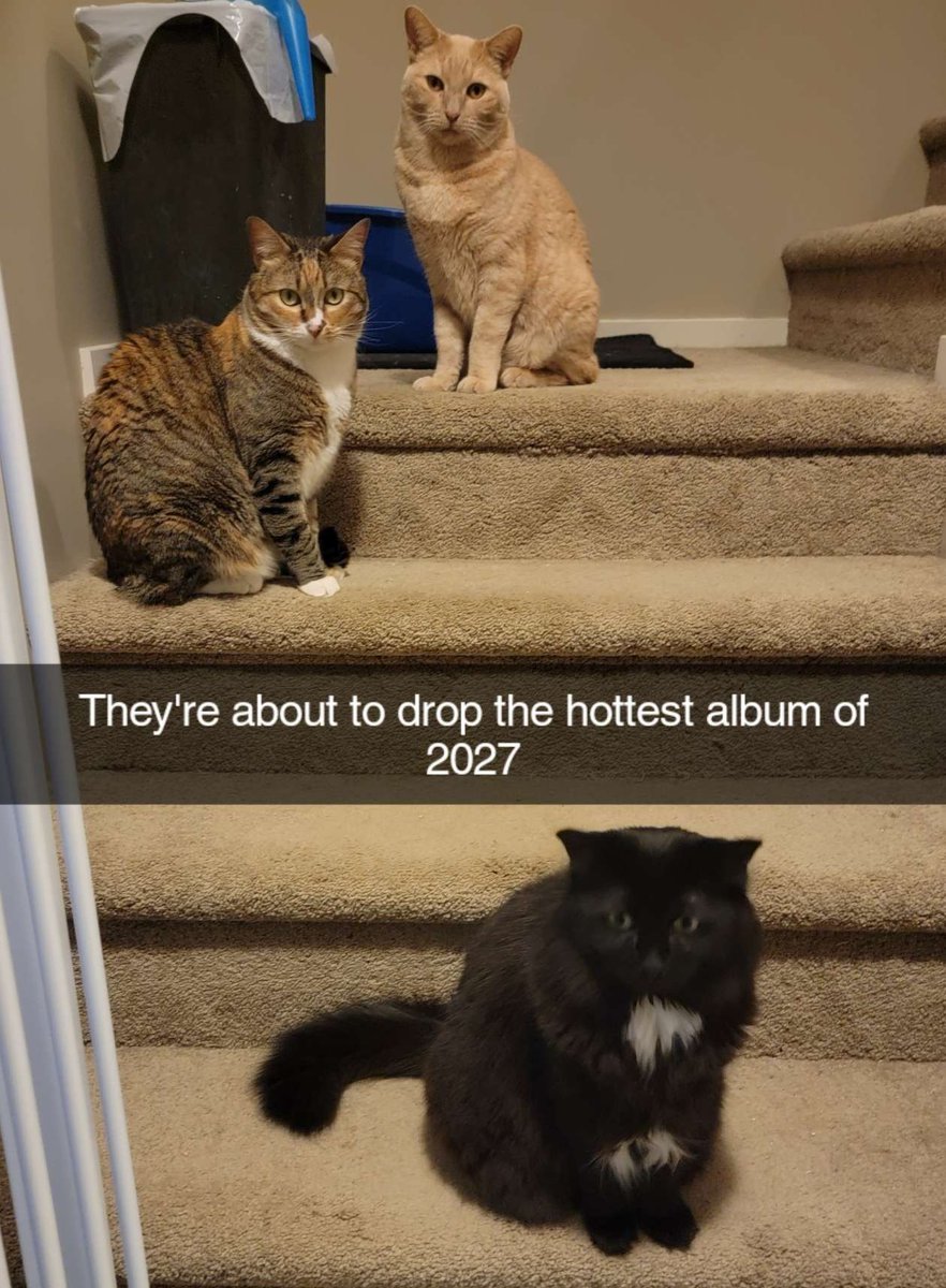floffyeevee's tweet photo. https://t.co/WBYuozQ9vY