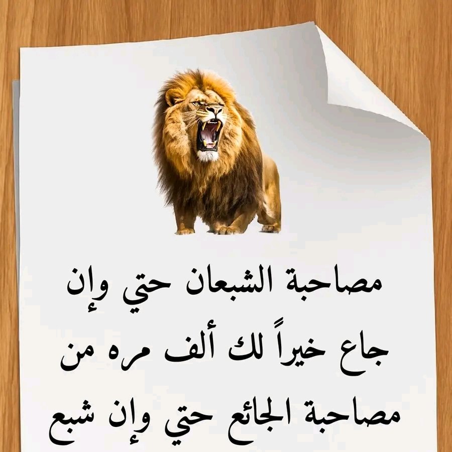 YdMthrs's tweet photo. https://t.co/qTjjss3gIq