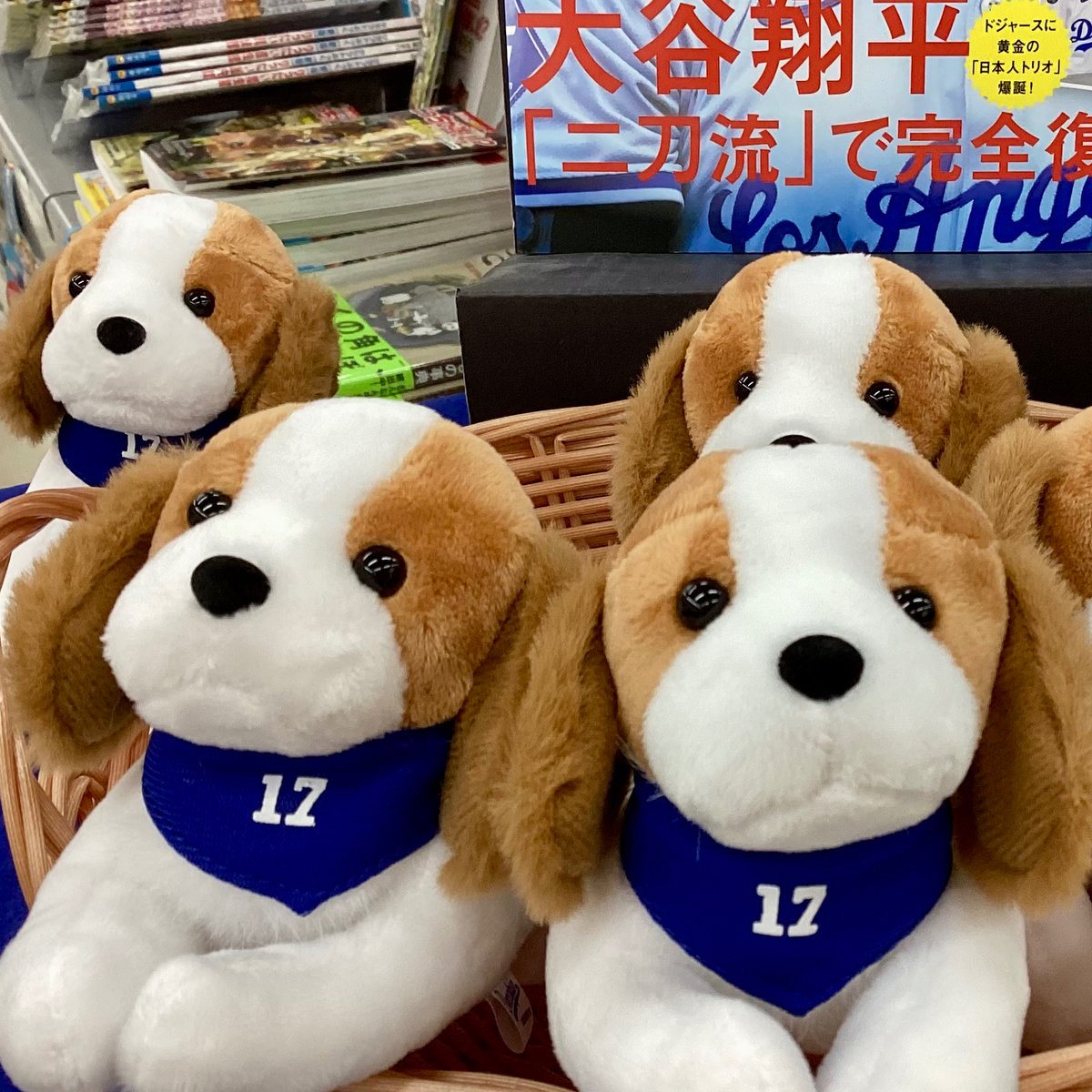 🐕デコピンチャーム入荷🐕 #大谷翔平 選手の愛犬、#デコピン が可愛い