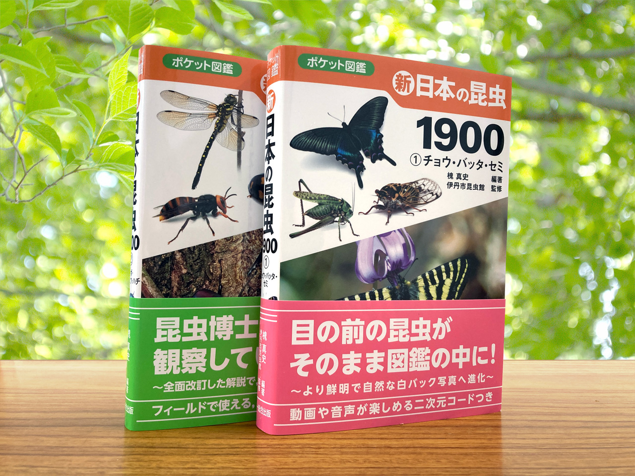 古い昆虫図鑑 小学館の図鑑NEO POCKET -ネオぽけっと- 昆虫／小池啓一、小野展