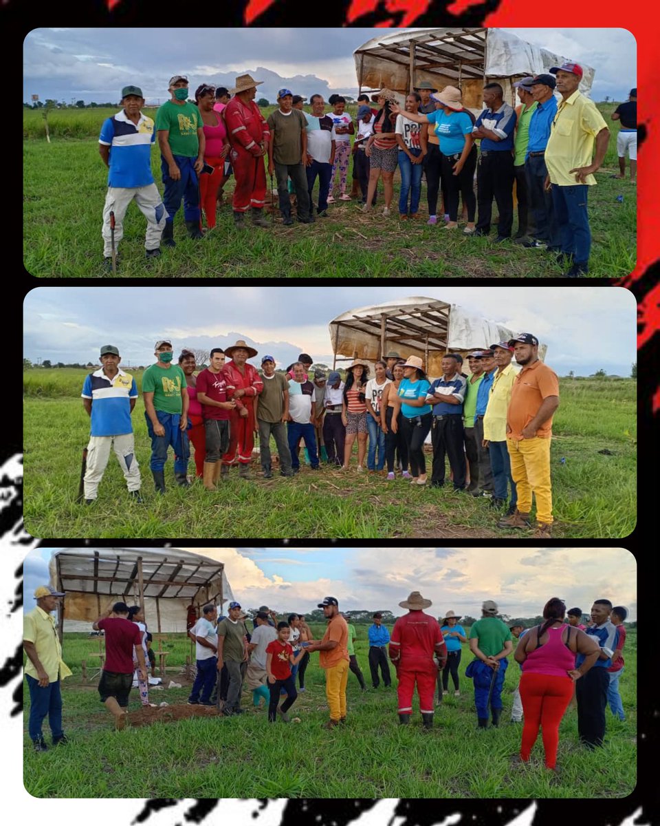 Con el objetivo de organizar el sector productivo del campo para aumentar la producción agropecuaria y fortalecer la soberanía alimentaria del país, Militancia del Municipio Ezequiel Zamora participa en la conformación de la comisión promotora campesina en el Sector Emmanuel