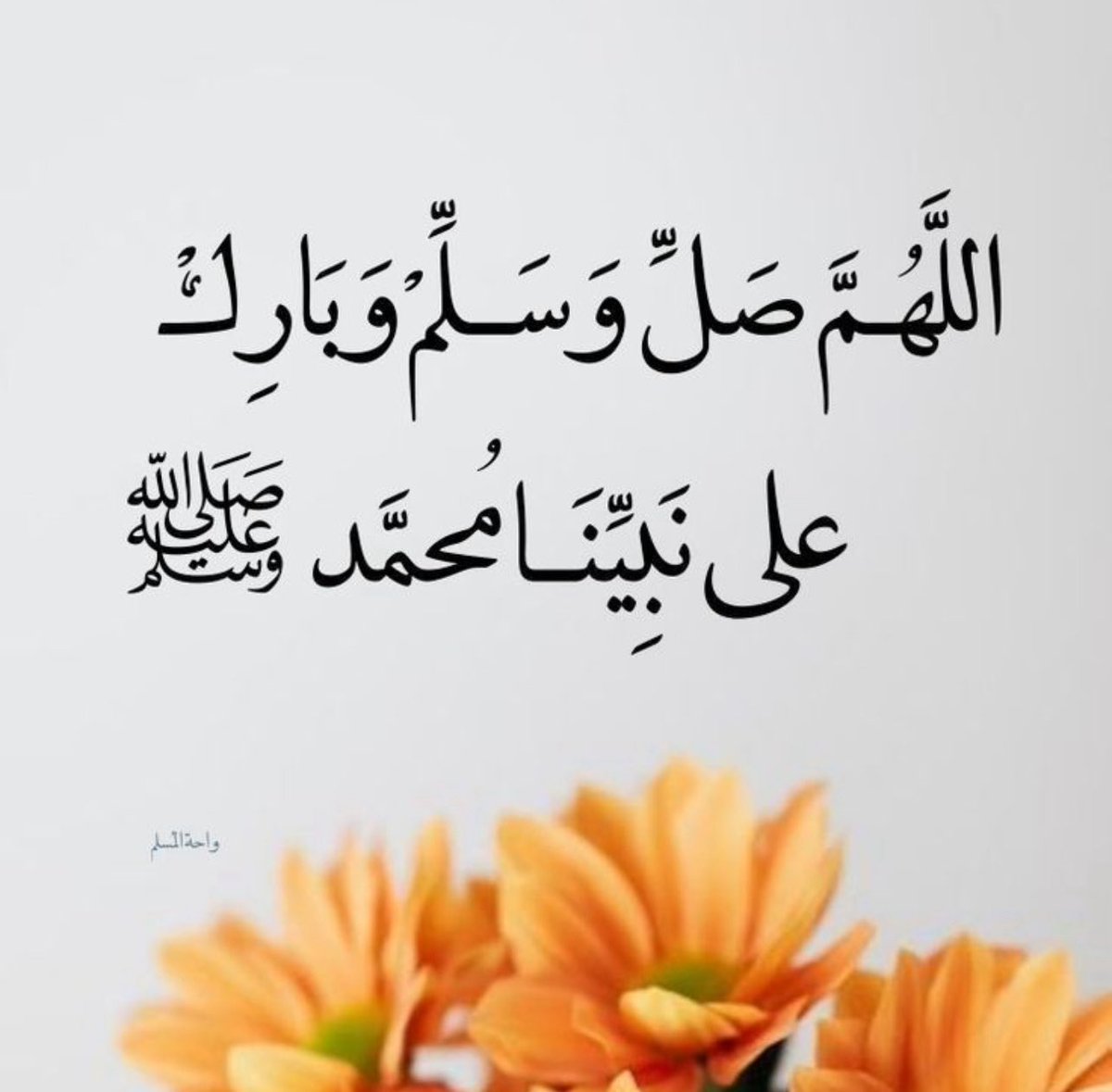 محب الخير♥️ابومحمد tweet media