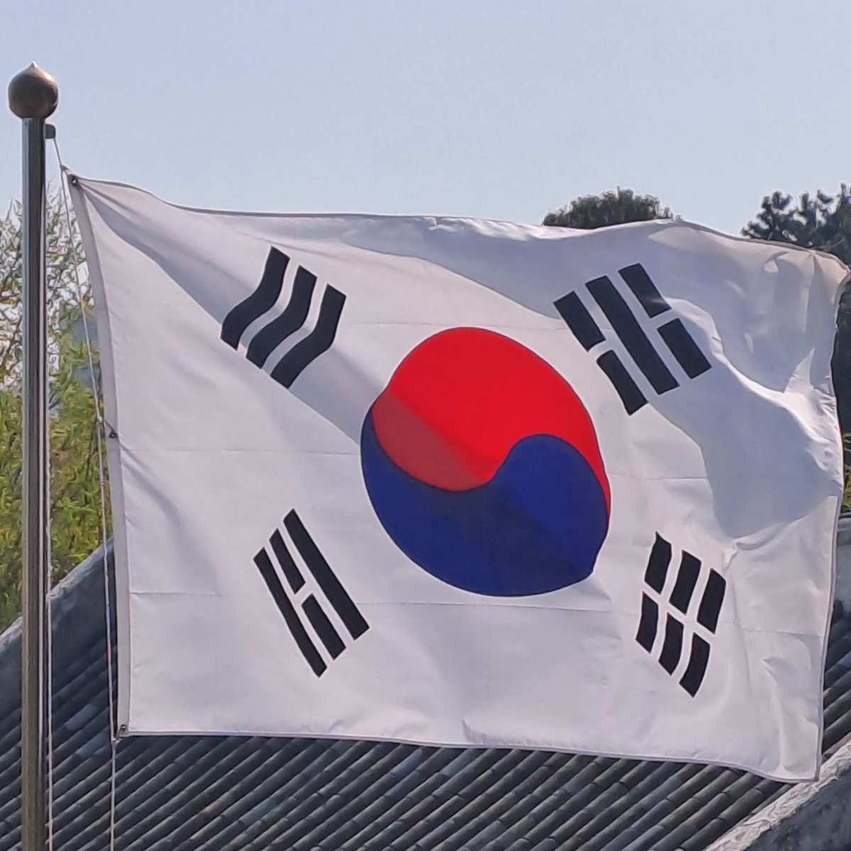 kTaeKwonDo38's tweet photo. https://t.co/twaRgiJ6KR
