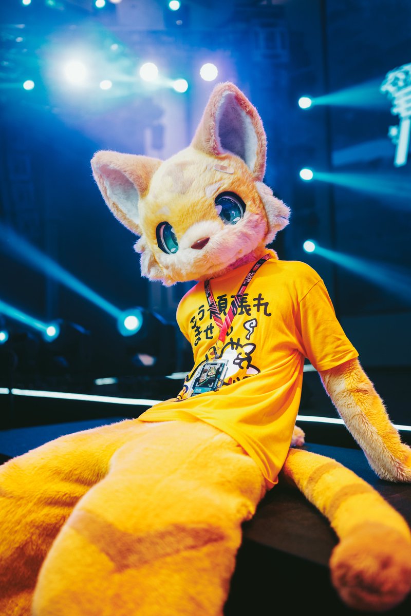 Shining ！
#FursuitFriday 
📷：<a href="/chungou_cn/">📸風剣　NEXT👉万兽汇</a>