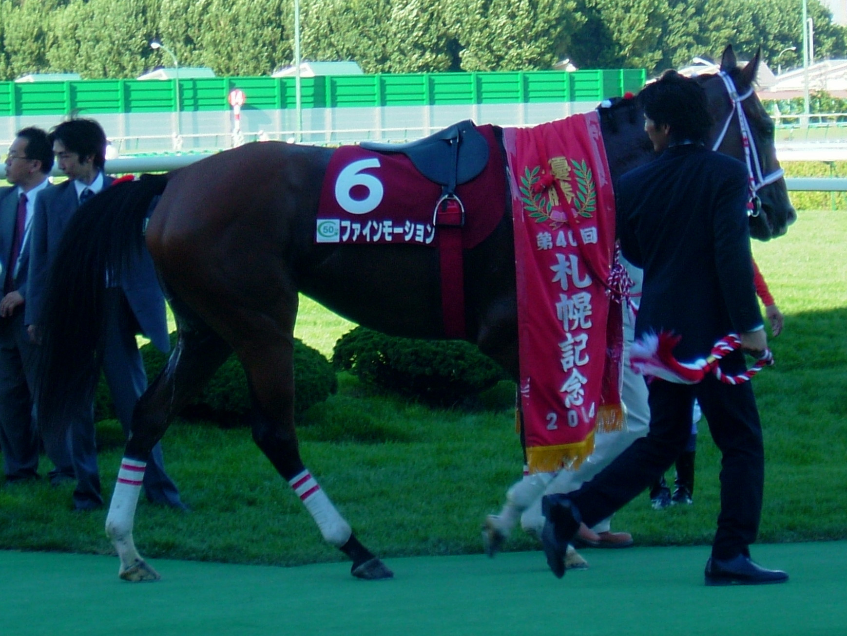 ファインモーション全15戦現地購入馬券 ファインモーション全15戦現地購入馬券