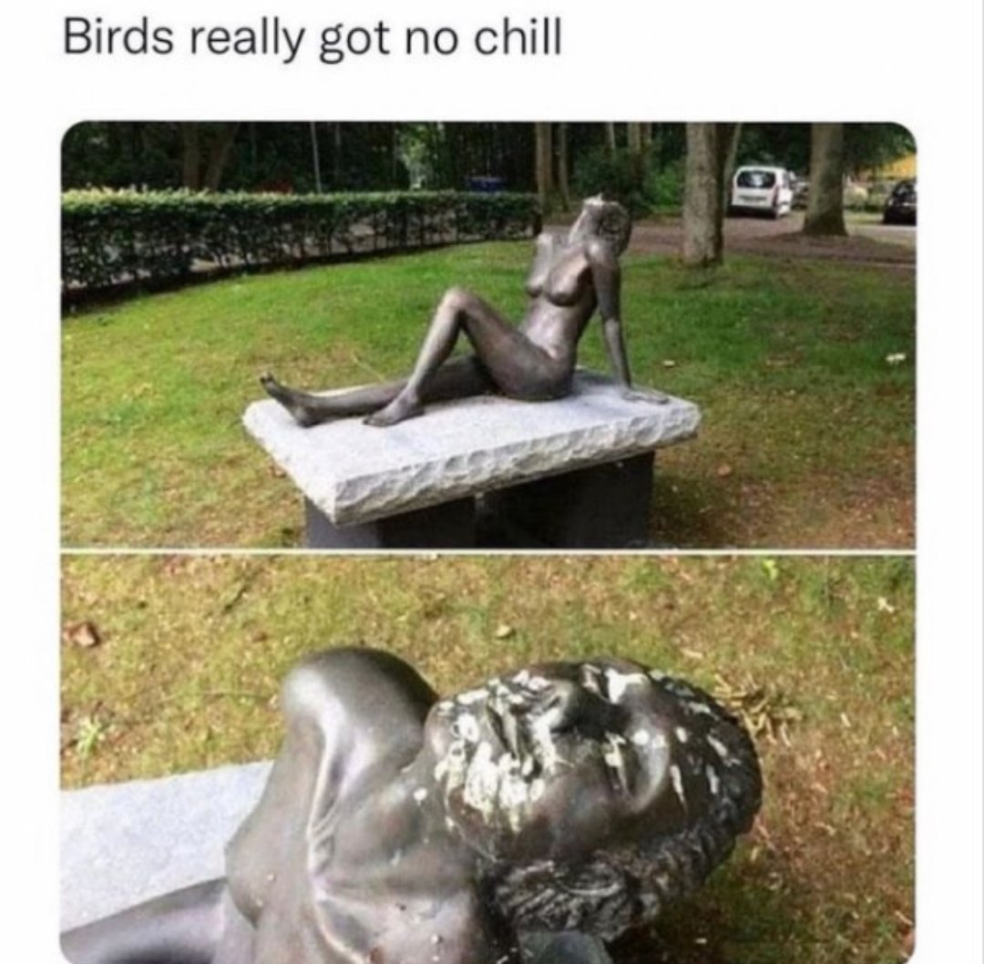 Not Your TC 🇩🇰🇮🇪🇺🇸 (@notyourtc) on Twitter photo 