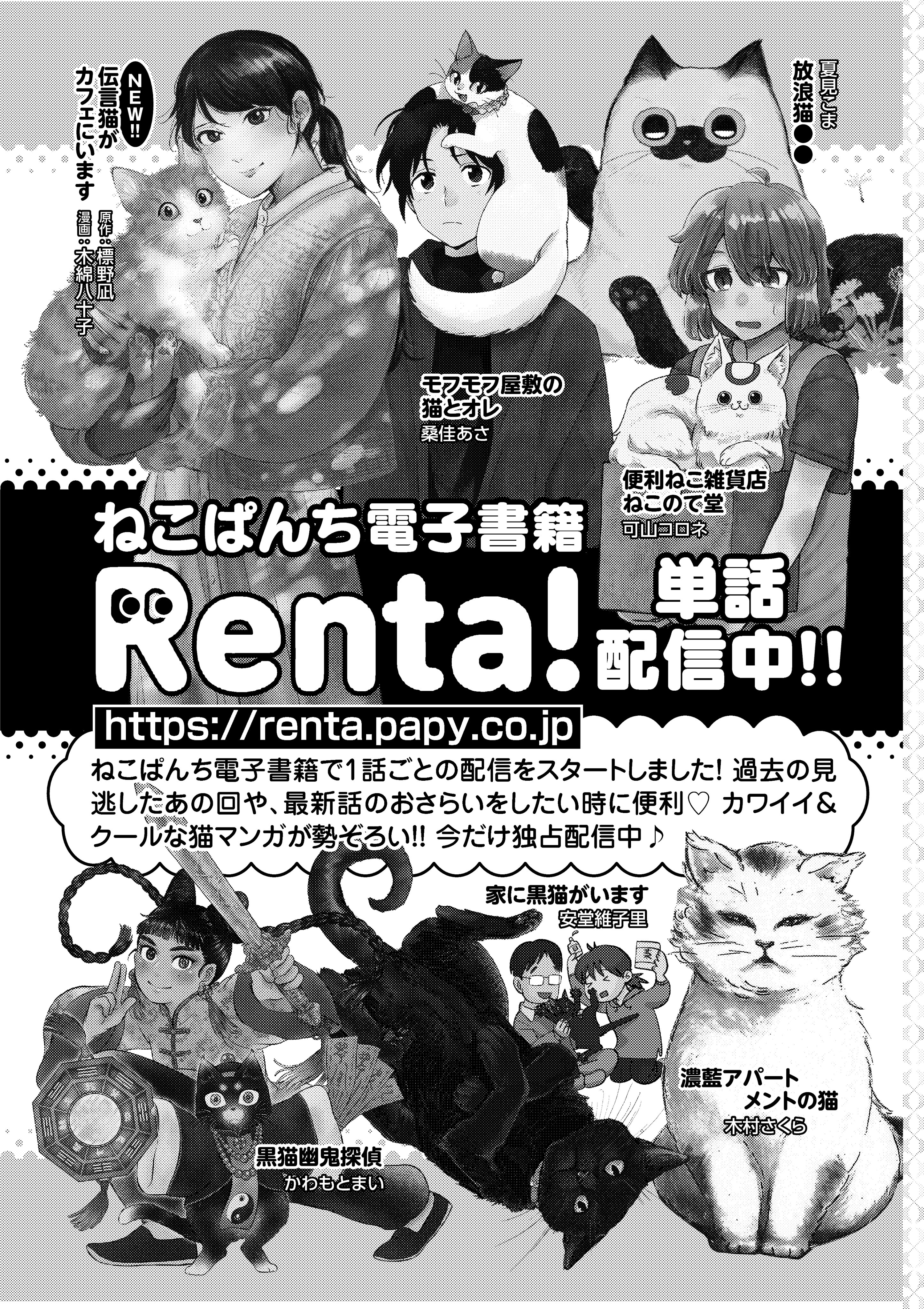 【中古】 ねこぱんち ｎｏ．１５５/少年画報社 ねこぱんち 猫バケーション号 | 少年画報社