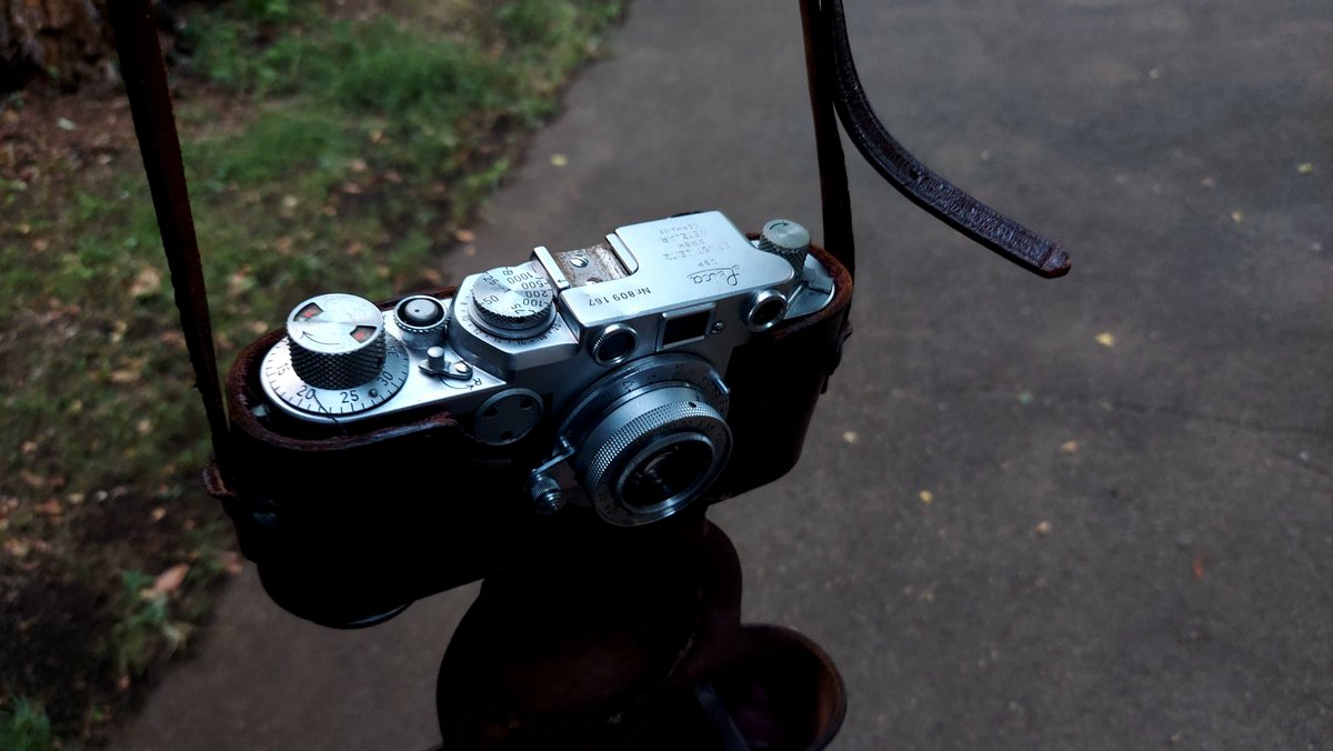 ライザメ (@raizame664) / Posts / X