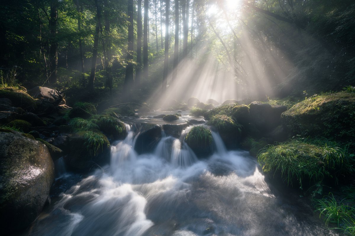 arataka_zc32s's tweet photo. 昨日は光芒を浴びたので、今日からの仕事頑張れます。

SONYα7rv
SONY 16-35GM
KANIfilter  Premium CPL #0
KANIfilter  Premium Mist No.5
KANIfilter  Premium GND0.9 https://t.co/1Zkdl0raXB