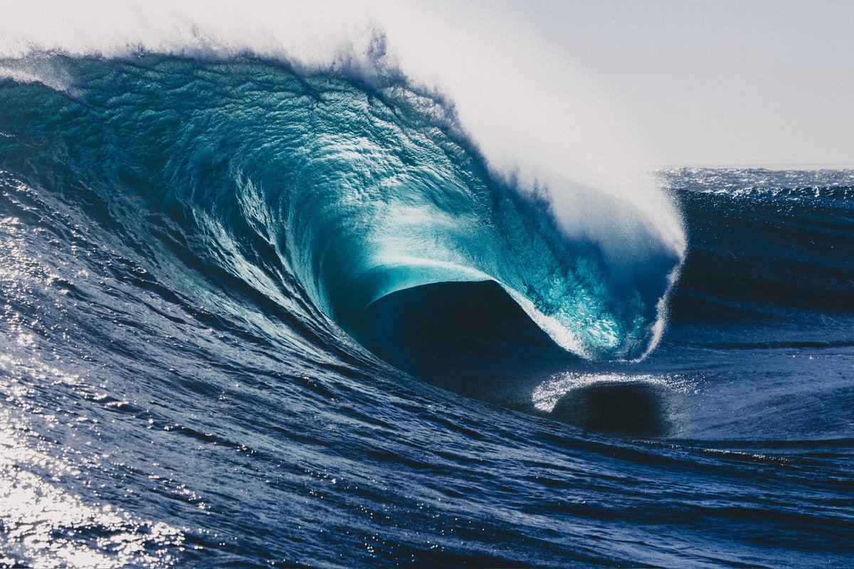 Kim Feast tweet media