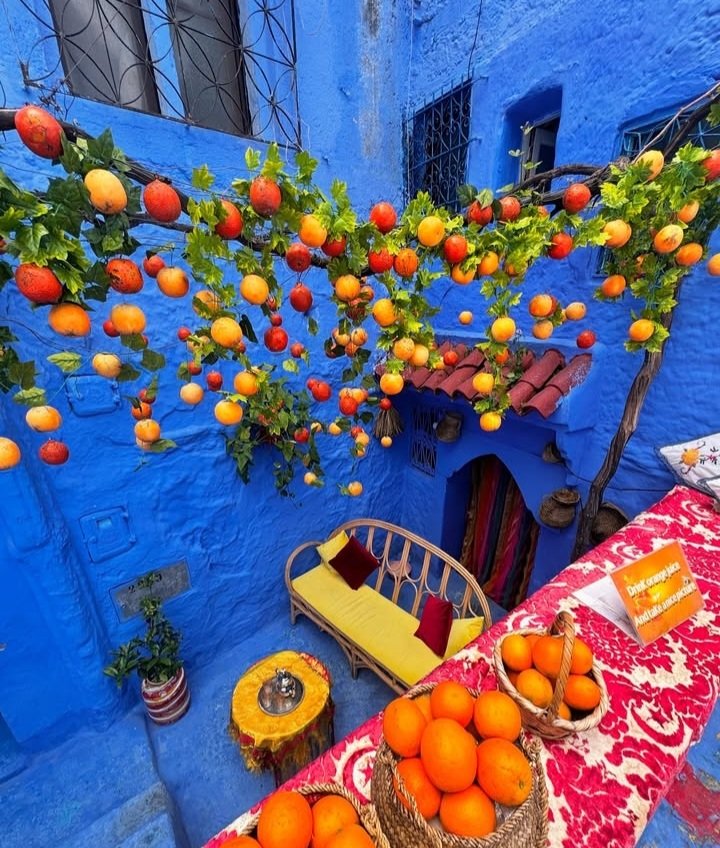 TrtTa241606's tweet photo. Chefchaouen… The Enchanting Blue Pearl in the Heart of Morocco❤️🇲🇦
https://t.co/U83k07rF1p 
#Chefchaouen #BlueCity #Morocco #TravelMorocco #WondersOfMorocco #VisitMorocco #MagicalPlaces #ExploreMorocco #TravelGoals #HiddenGems https://t.co/FMgQS6Dyyl