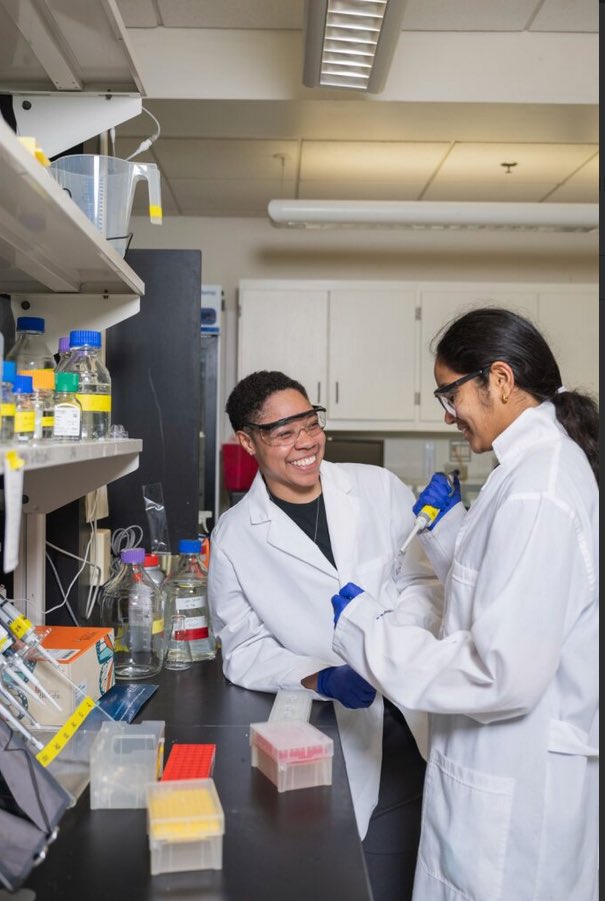 Dr. Brea A. Manuel, PhD tweet media