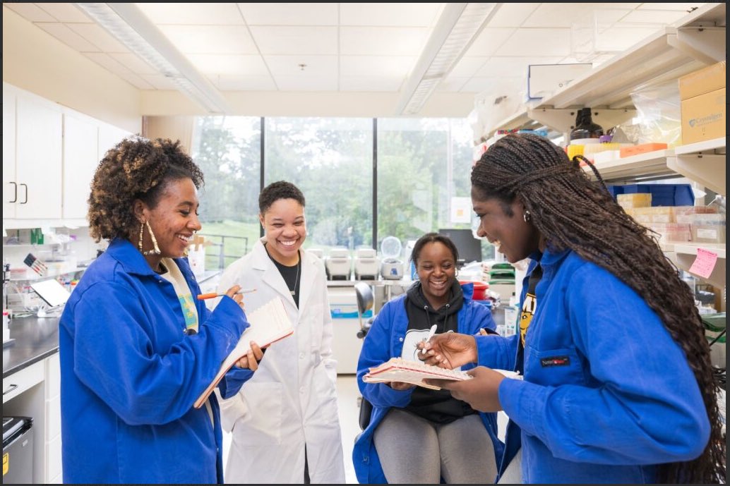 Dr. Brea A. Manuel, PhD tweet media