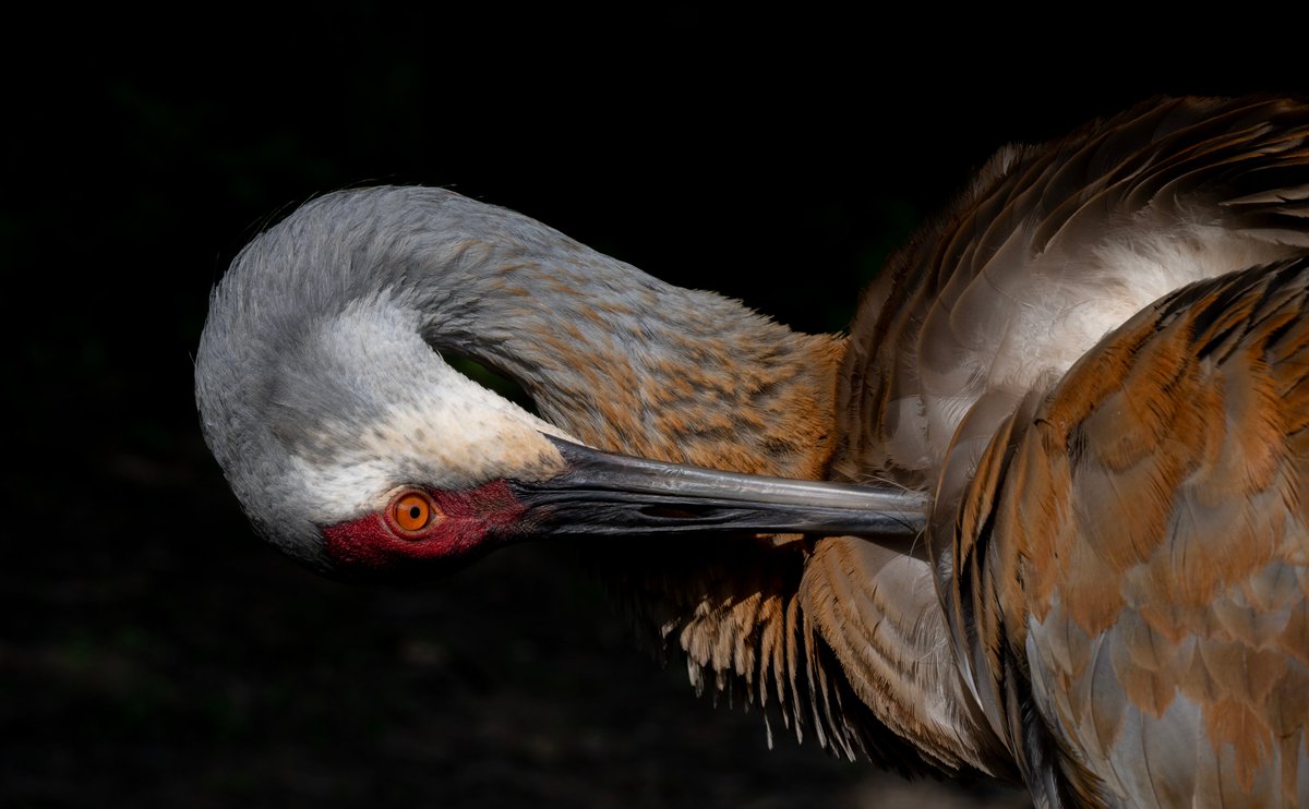 Jocelyn Anderson Photography tweet media