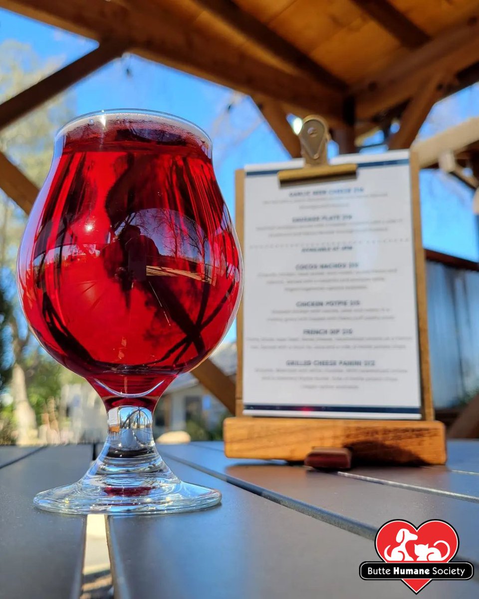 buttehumane's tweet photo. The Lost Dutchman will be donating 25% back to our shelter on Thursday, August 21st, from 4 pm - 8:30 pm! Their gorgeous patio features lawn games and activities to enjoy while you have a drink and some tasty bites. We hope to see you there! 🐶❤️🐱 https://t.co/oPU76wy2BH