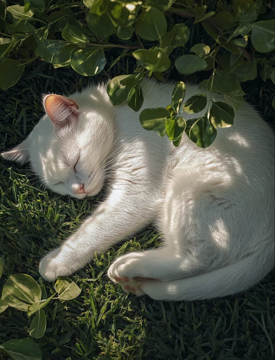 Life seems to be just like this, simple and beautiful.