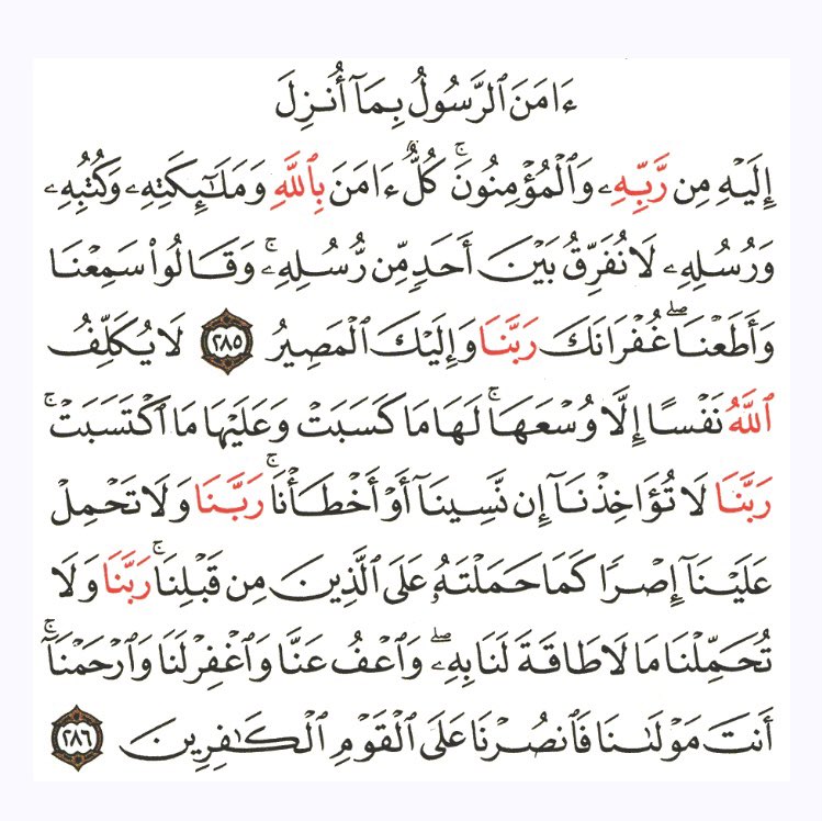 1s1s1si's tweet image. 