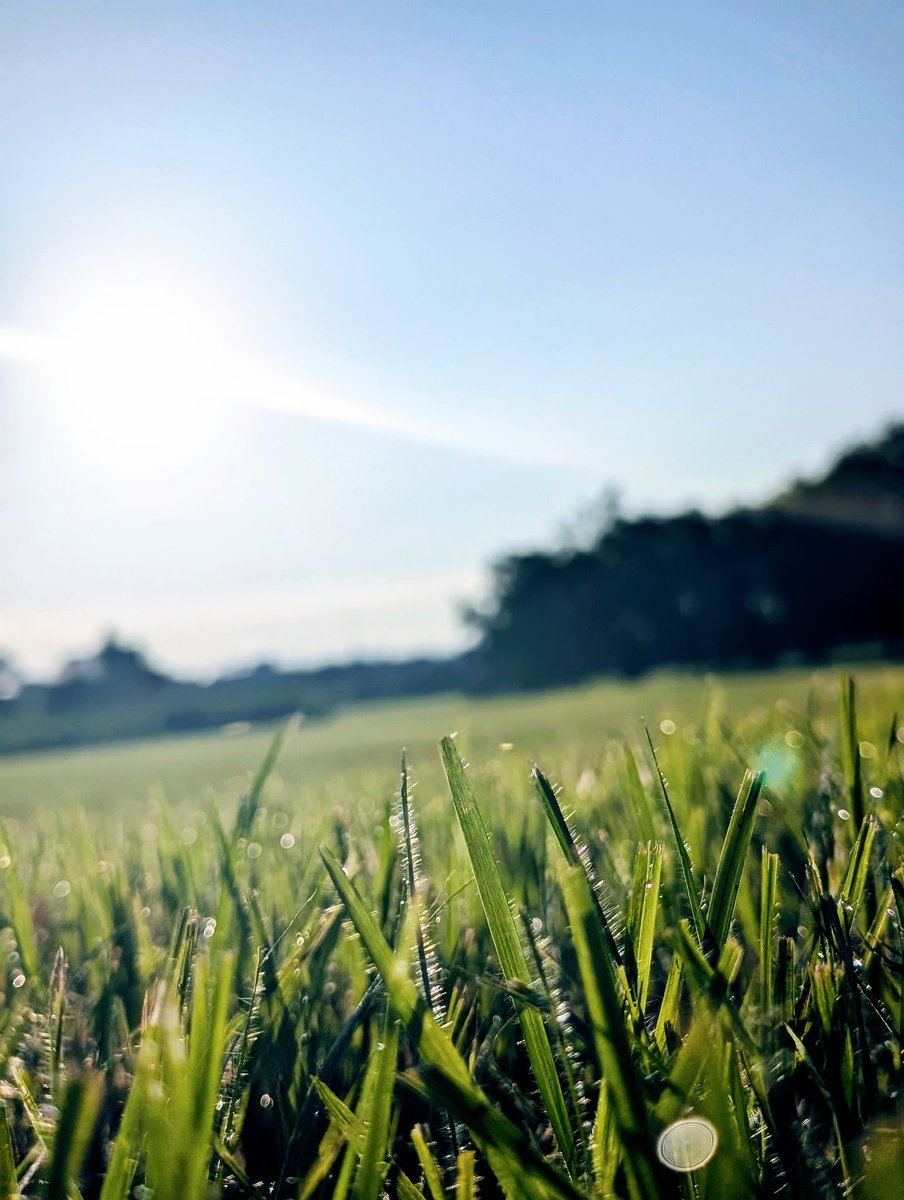FreezesingE's tweet photo. Good morning. I just came back from my morning walk. It looks like it’s going to be hot again today.
#Japanese #English #practice
#日本語　#英会話　#練習 https://t.co/CvAVjxwaJu