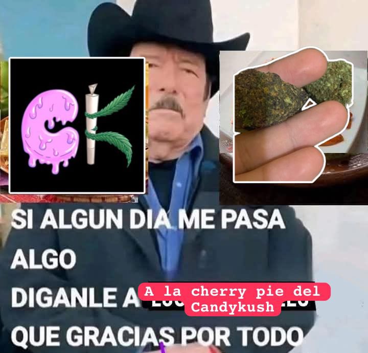 nobodyswey's tweet photo. Recomendada la cherry 🍒 del @CandykushMty jajaja https://t.co/m7P715NnPM