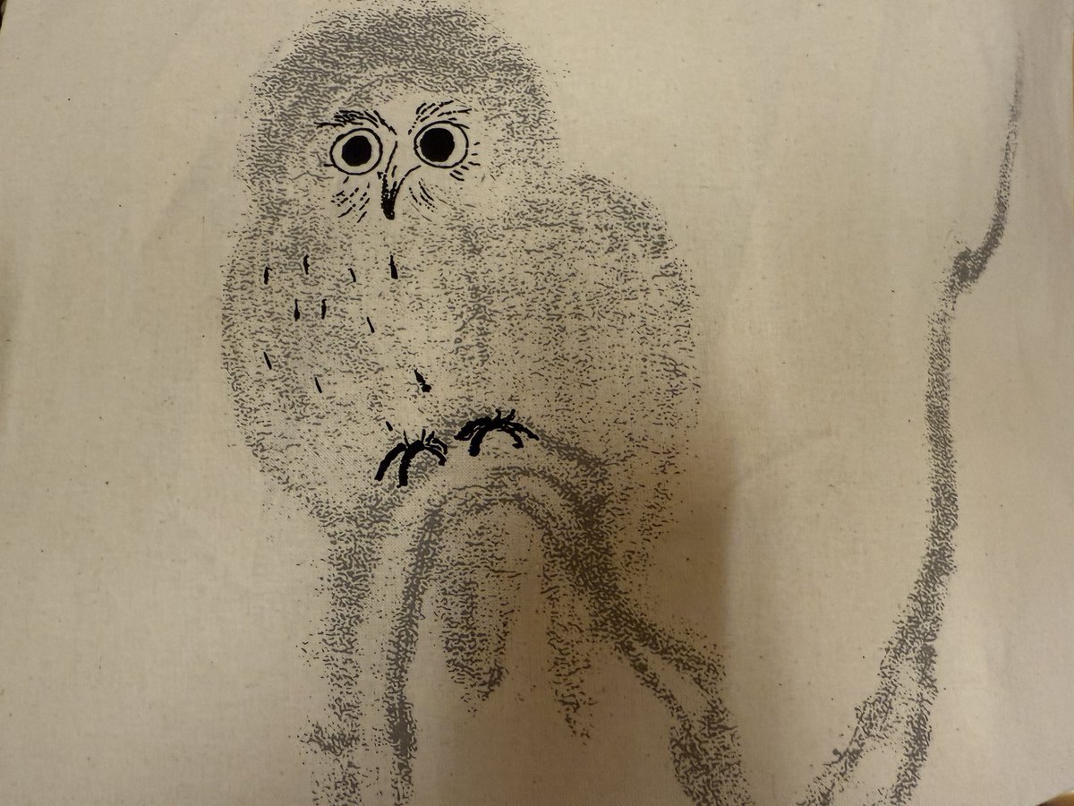おはようございます。

徳川展にて

娘「家光の描いたフクロウグッズ作ったら売れるのでは？」

僕「確かに」

売店にて

僕&amp;娘「あった🤣」

という事でトートバッグ購入しました。
もう、この表情最高。
欲を言えば家康作の鷺もグッズ化して欲しかった。